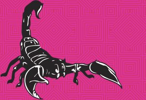 Scorpion Media