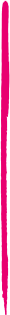 divider-pink-vertical